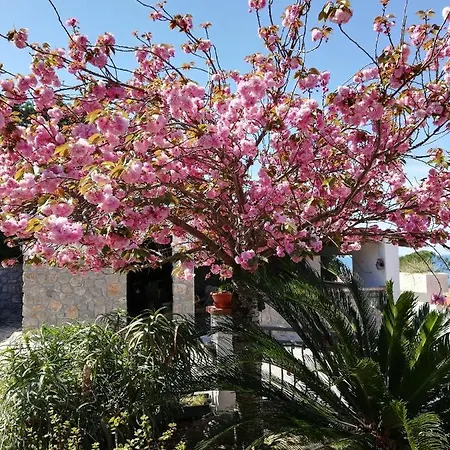 Bed & Breakfast La Tela Di Penelope Villammare